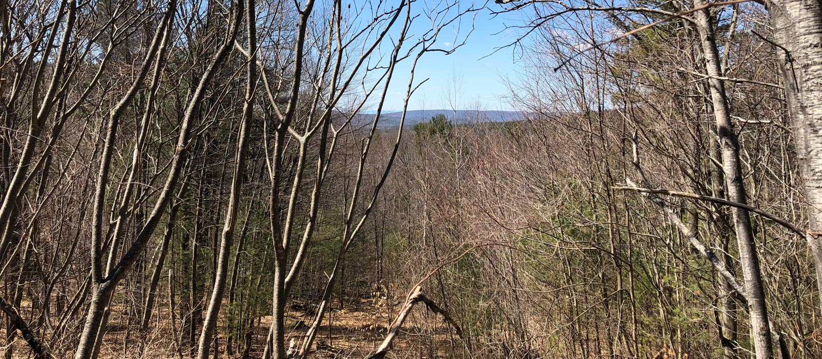 Lot 14 at Deer Ridge