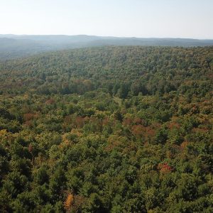 Drone 1 Deer Ridge