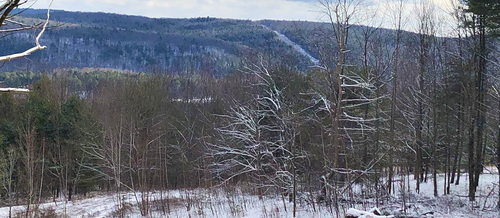 Deer Rideg Custom Home Properties Lot 21