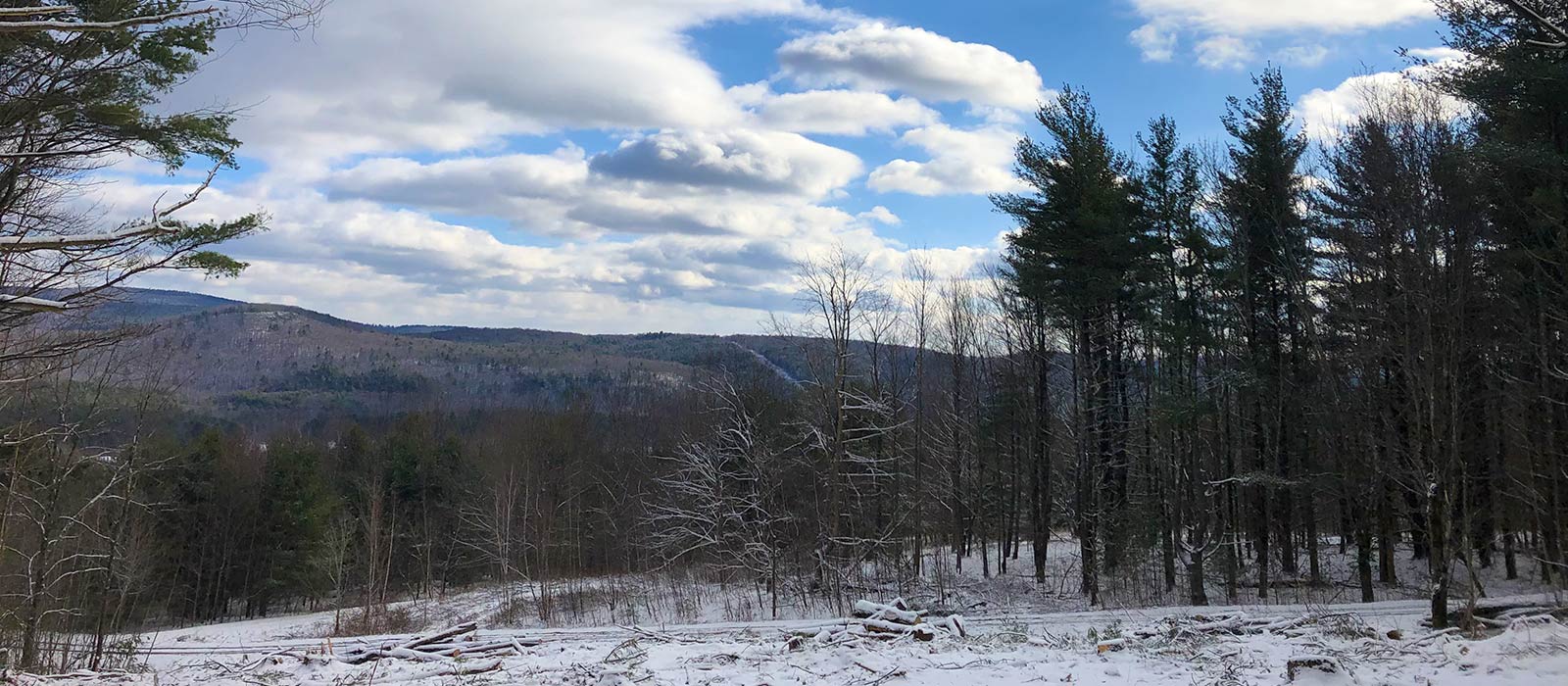 Deer Rideg Custom Home Properties Lot 21